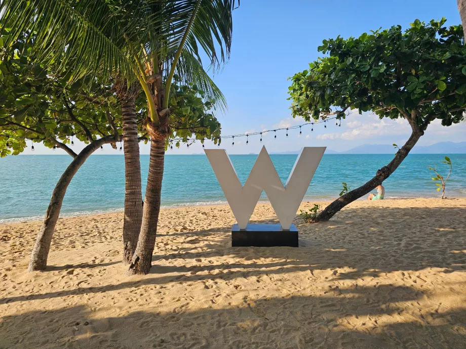 The letter "W" on the beach
