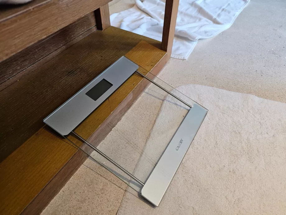 Climbing scale in the bathroom