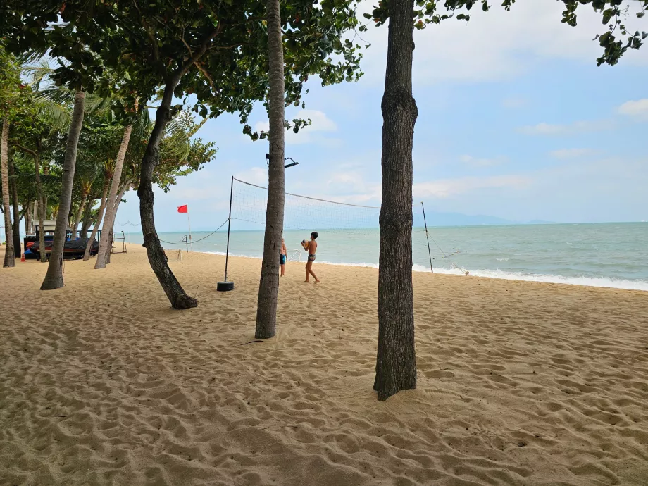 Beach volleyball court on the hotel beach