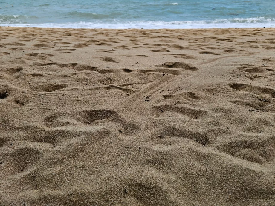 Coarser sand on the hotel beach