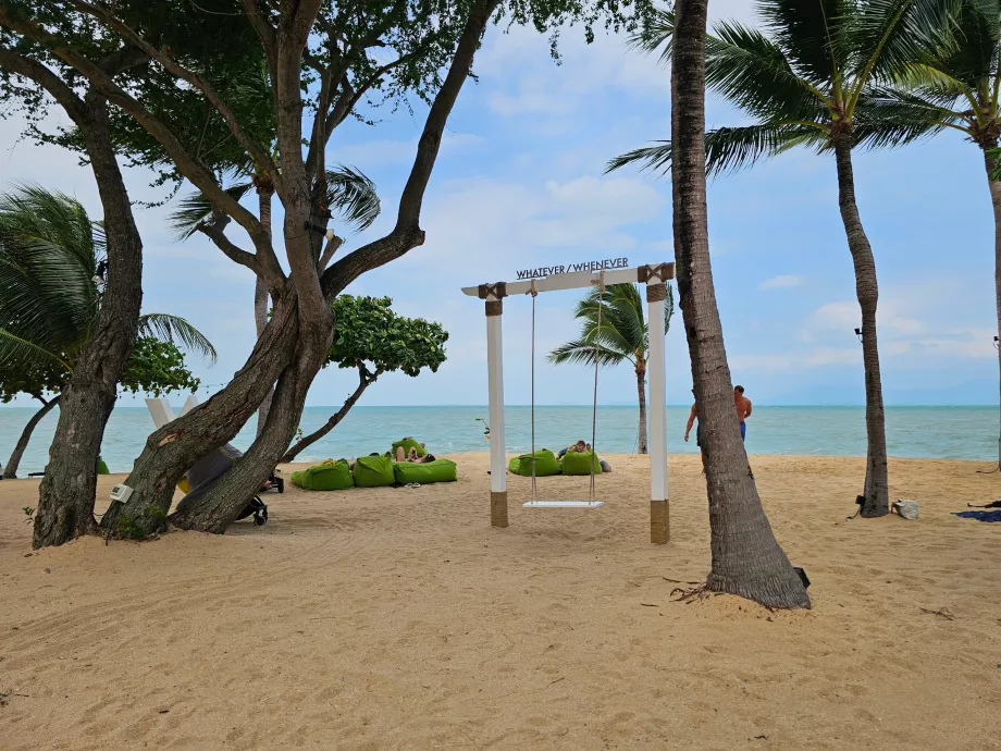 Swing on the hotel beach