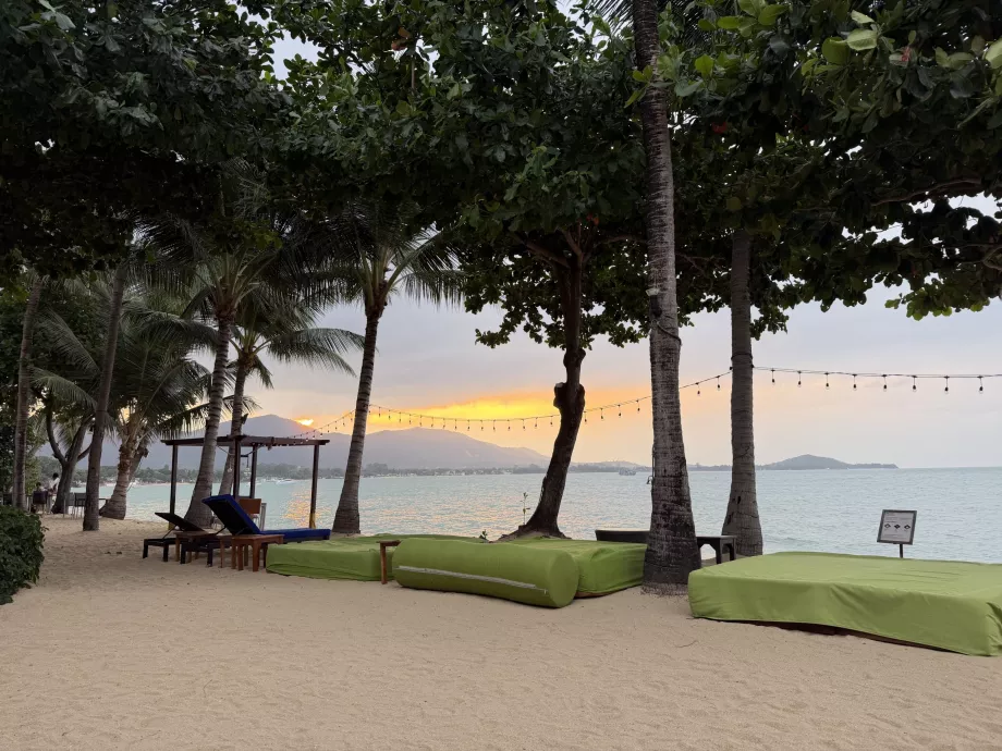 Hotel beach with sun loungers at sunset