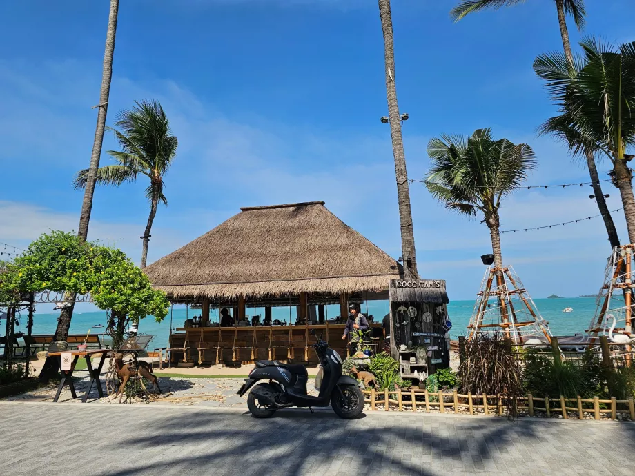 Coco Tam's Club at Bophut Beach
