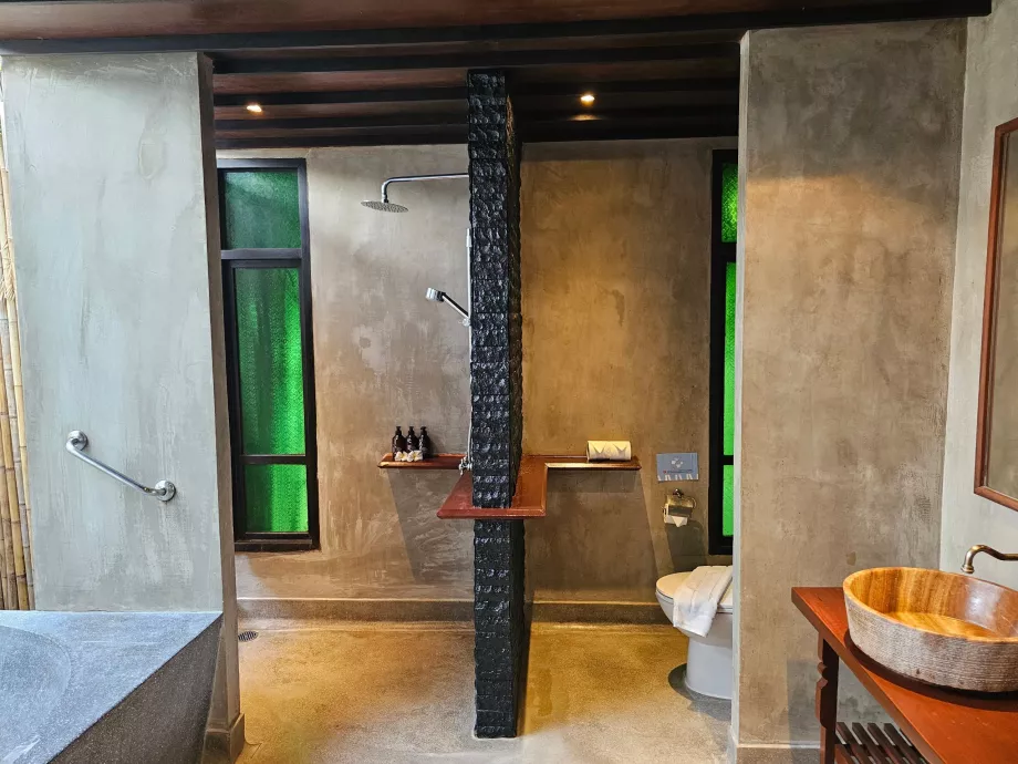 Shower and toilet in the room