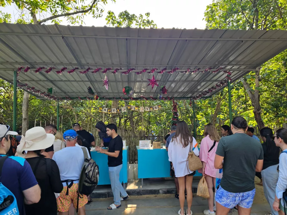 Check-in before departure at the dock (and payment of the national park entrance fee)