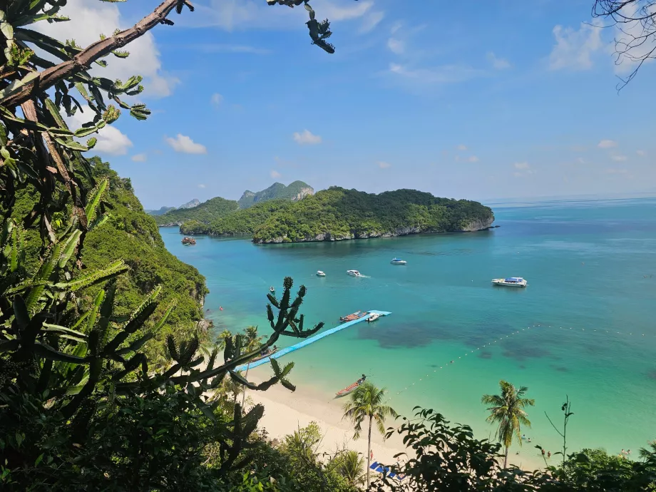 Trail to the highest viewpoint