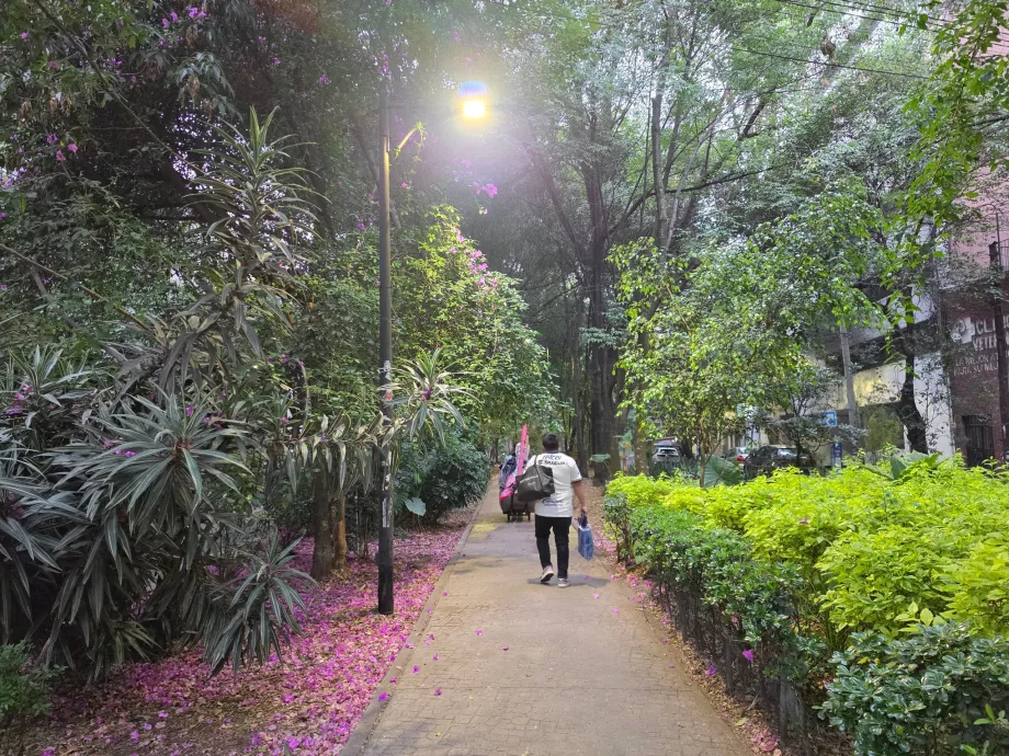 Quarter of Condesa