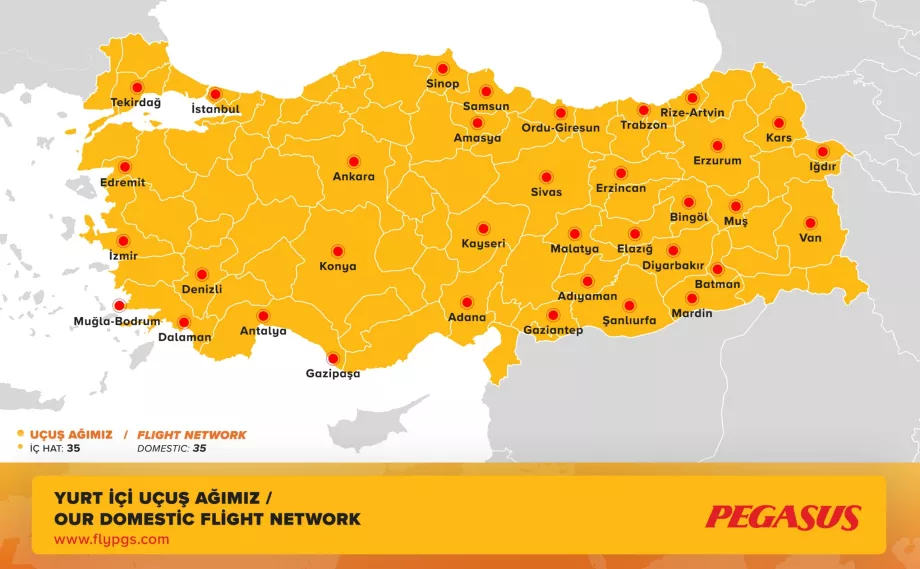 Domestic Route Map