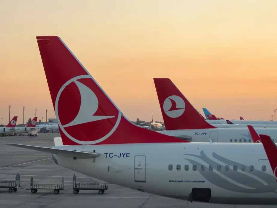 Turkish Airlines Check in For Free When And How To