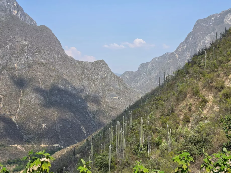 Landscape in the surroundings