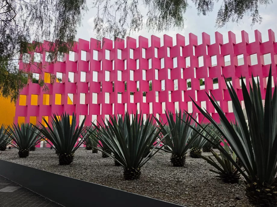 Pink Wall