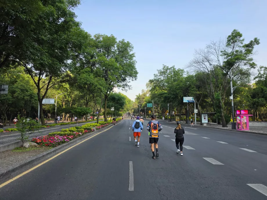 A Sunday morning run in Mexico City