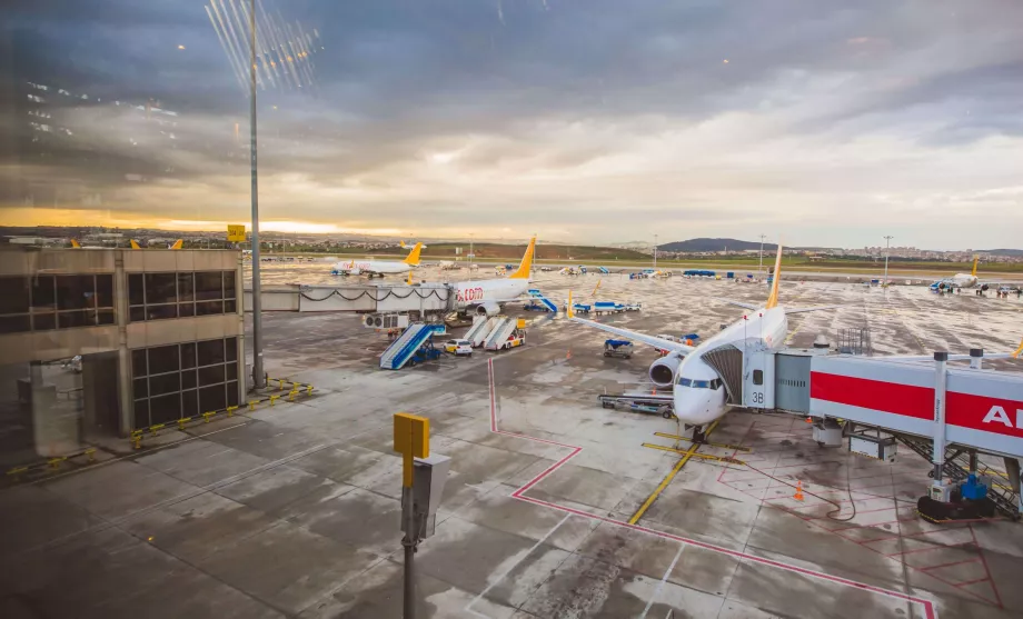 Pegasus Airlines baggage allowance (hand and checked)