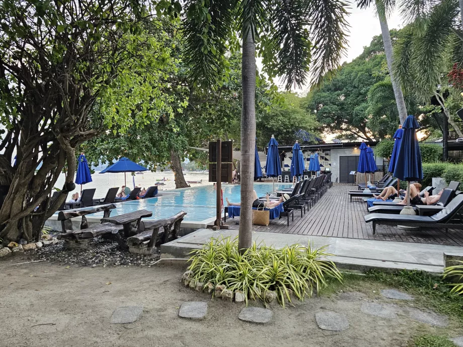 Swimming pool with sun loungers
