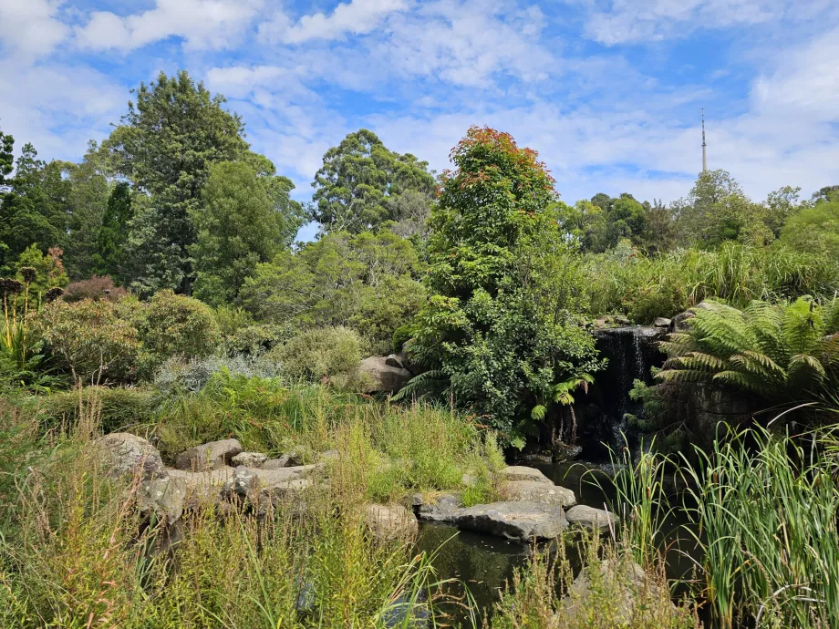 Botanical garden