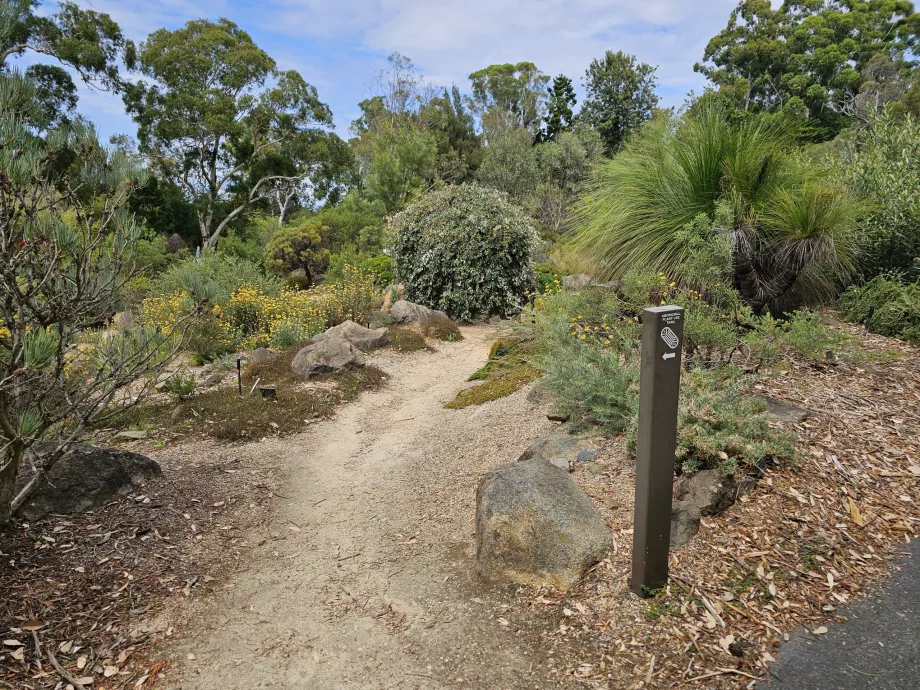 Botanical garden