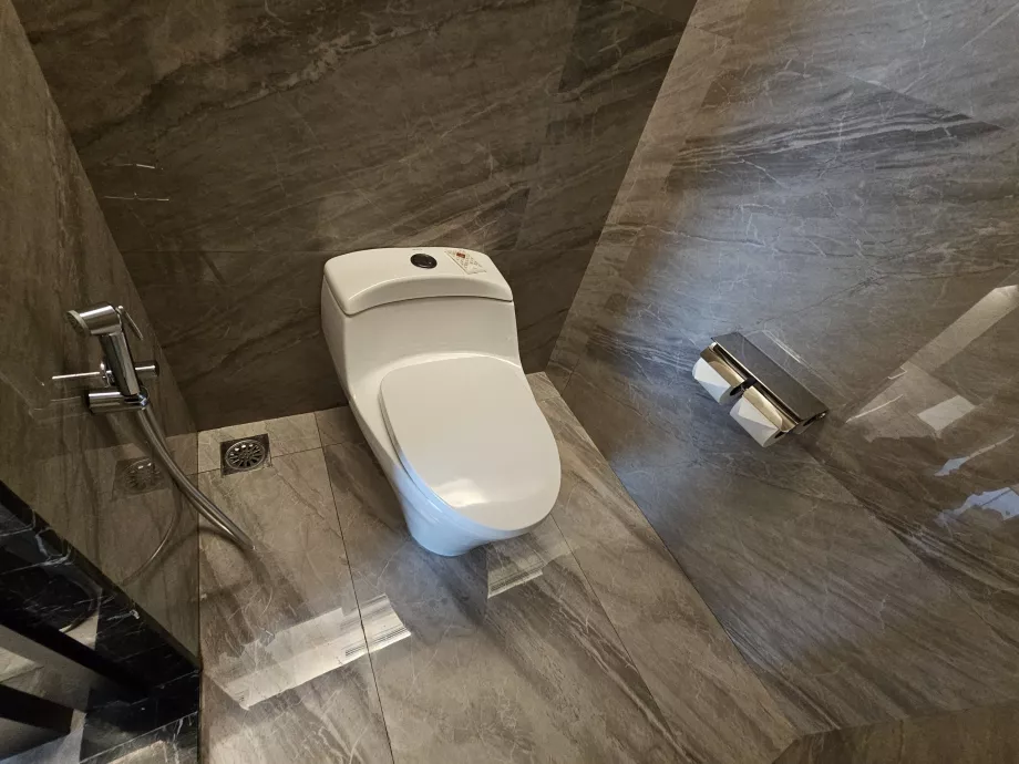 Toilet with bidet shower