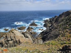 King Island