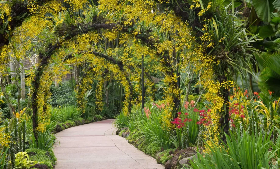 Botanic Garden of Singapore