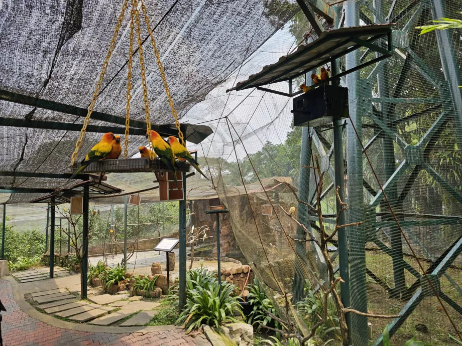 Bird Park