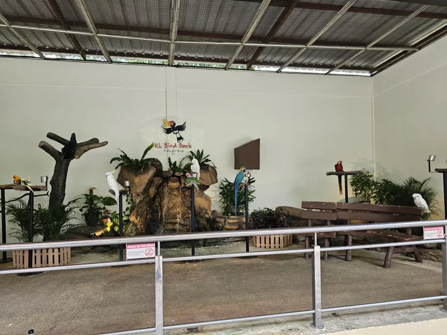 Bird Park