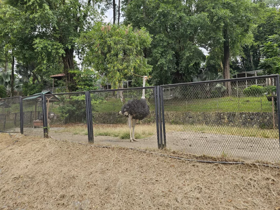 Bird Park