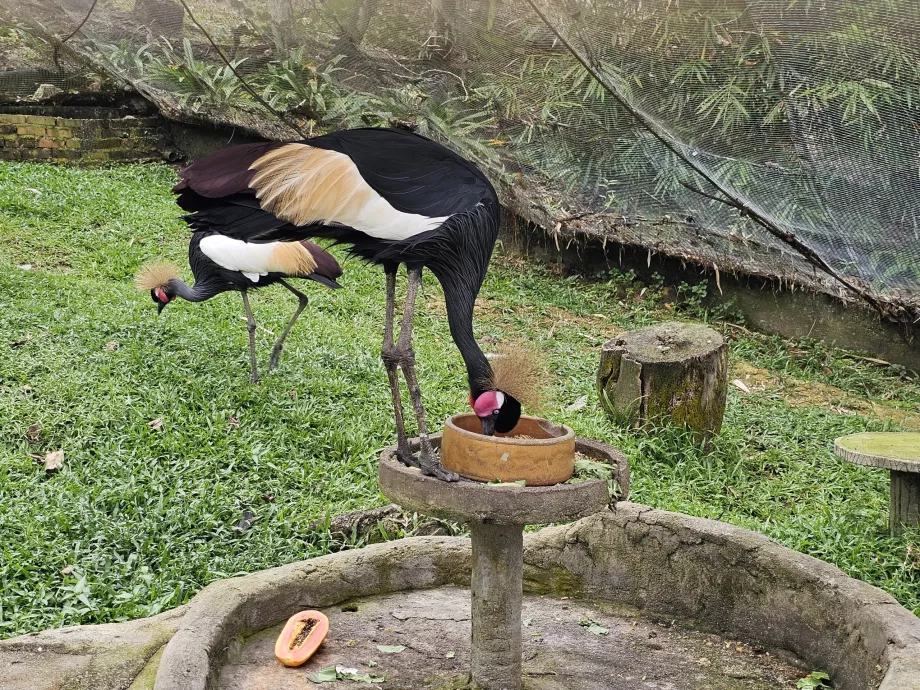 Bird Park