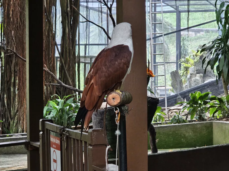 Bird Park
