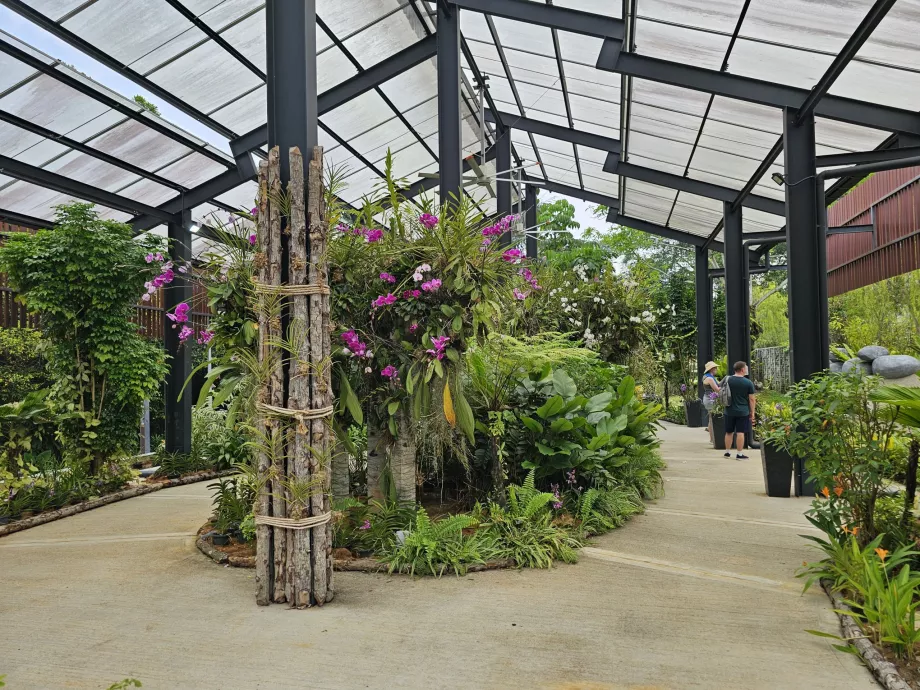 Orchid garden