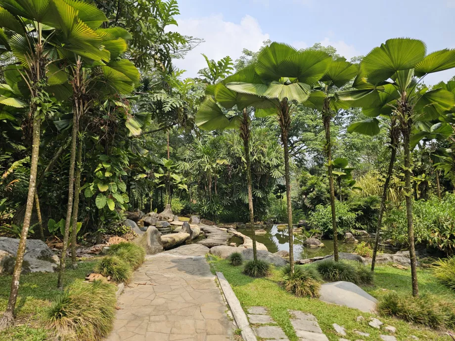 Botanical garden