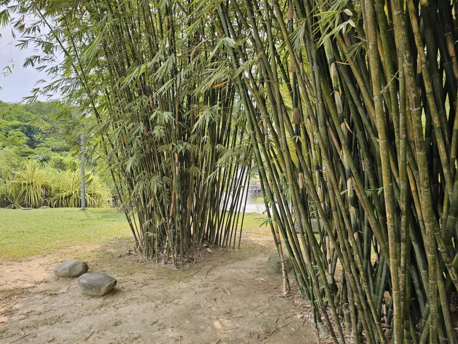 Botanical garden