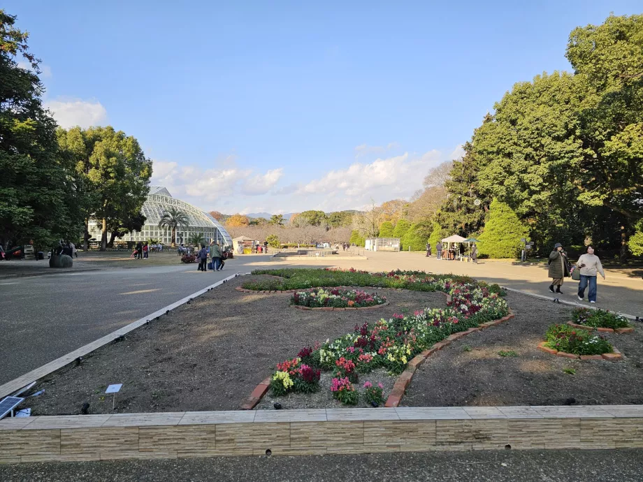 Kyoto Botanical Gardens