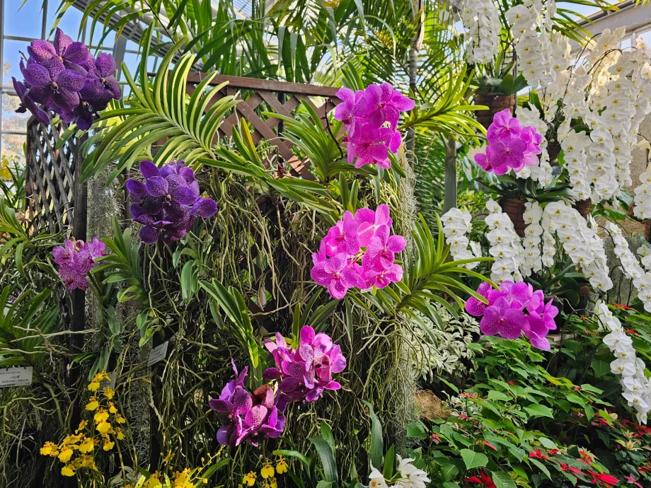 Kyoto Botanical Gardens