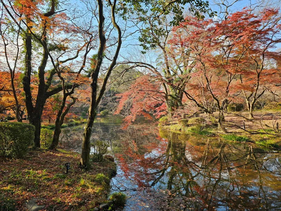 Kyoto Botanical Gardens