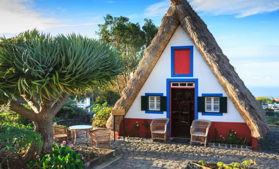 Houses in Madeira