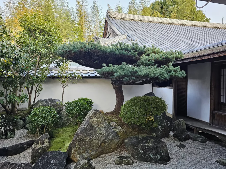 Daisen-in Zen Garden in Daitoku-ji