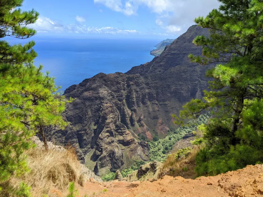 Kauai view