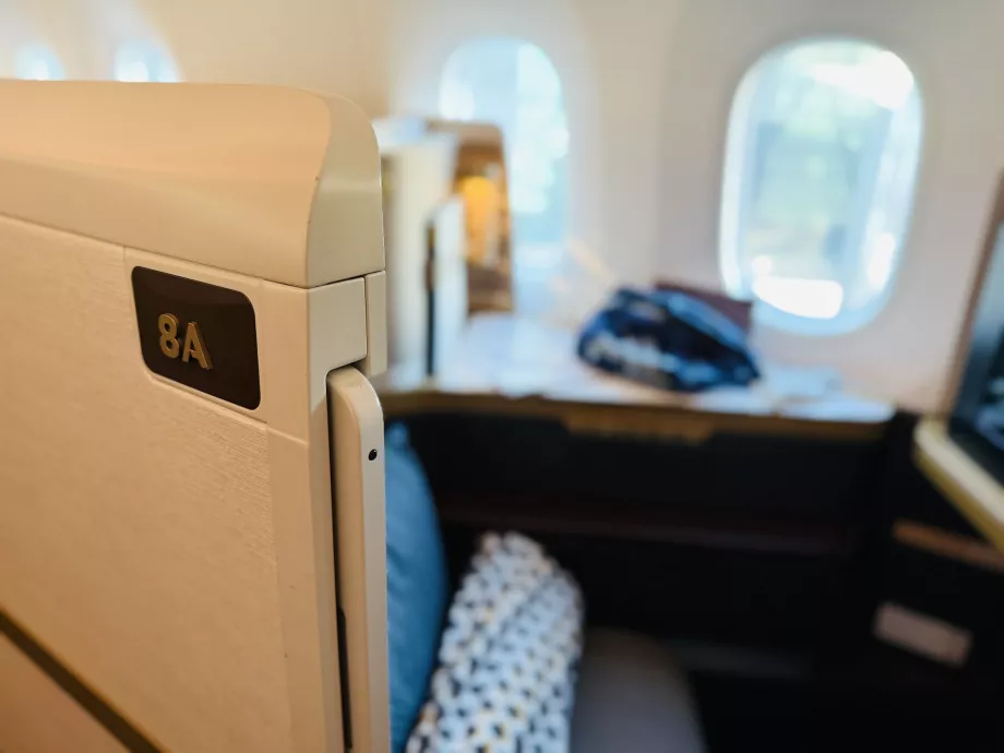 My seat 8A with door detail