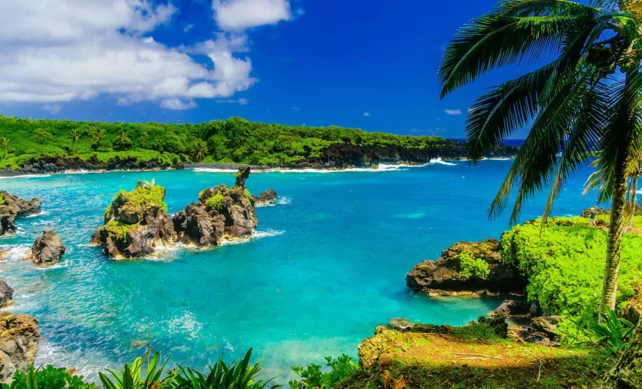 Maui - Hawaiian Islands