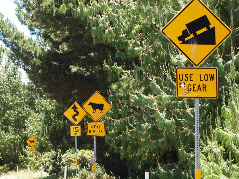Maui road