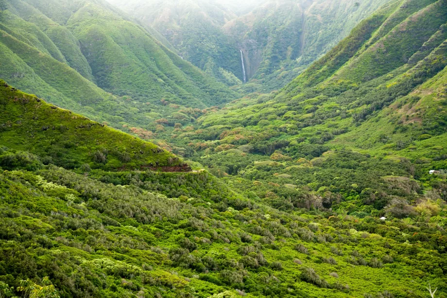 Halawa Valley