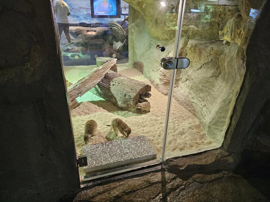 Aquaria