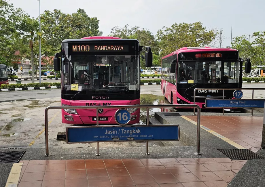 Bus 100 from the bus station to the centre