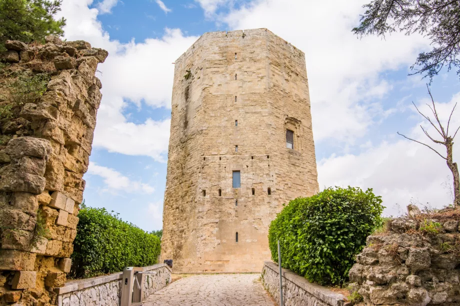 Torre Federico