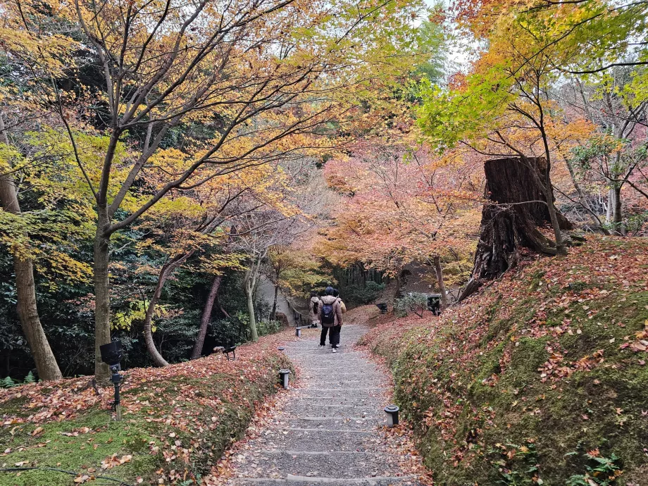 Kodai-ji Temple, Gardens