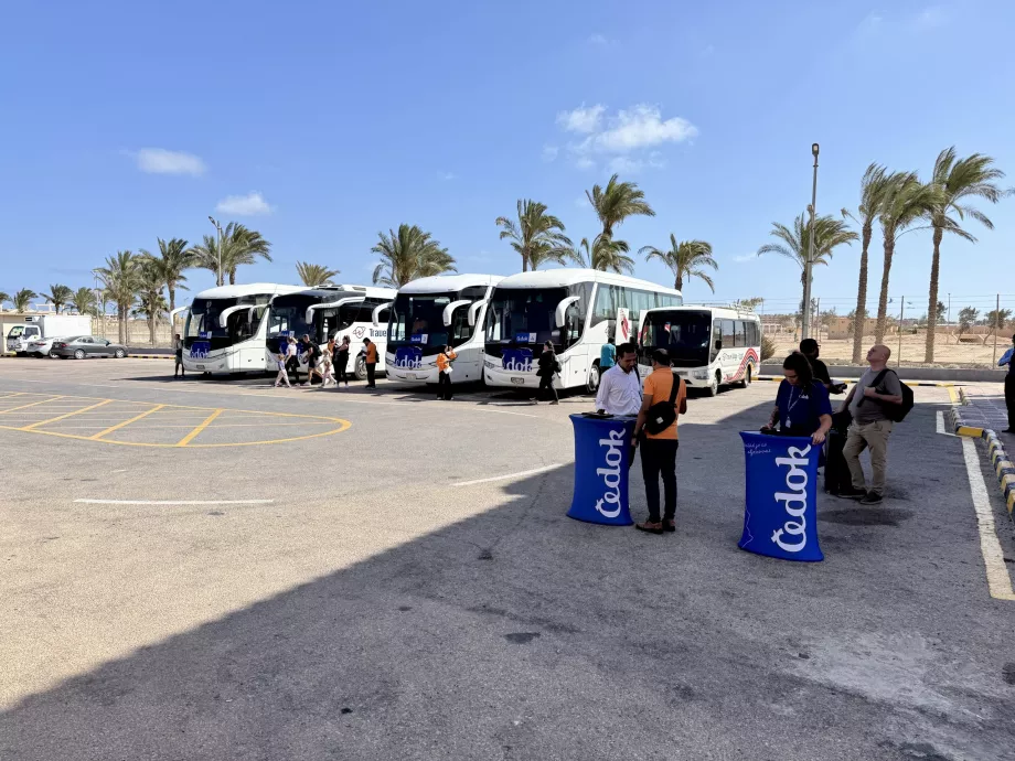 Buses from the airport to hotel resorts