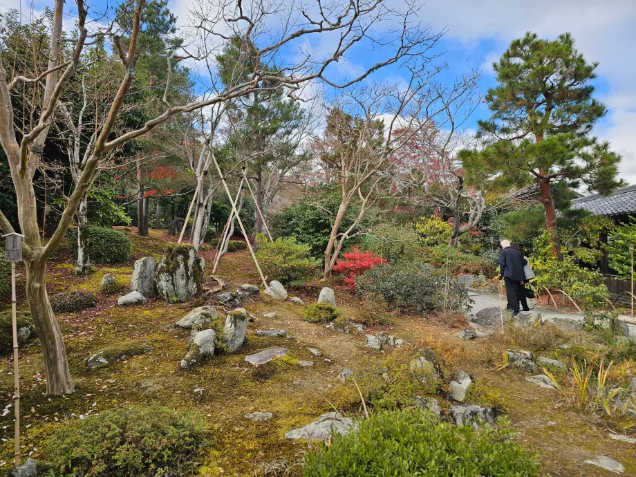 Tenryu-ji, gardens