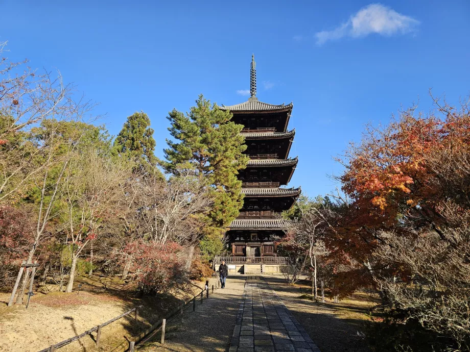 Ninna-ji Temple