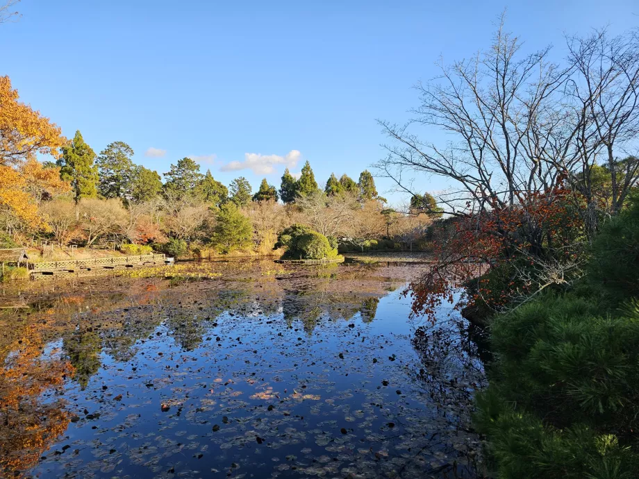 Ryoan-ji Temple