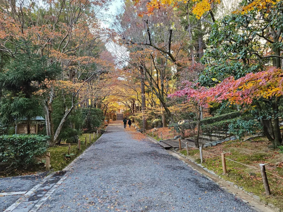 Ryoan-ji Temple